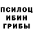 Псилоцибиновые грибы Magic Shrooms Liudmila Borisova