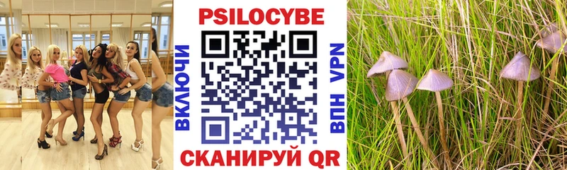 omg рабочий сайт  Гаджиево  Псилоцибиновые грибы Cubensis  дарнет шоп 