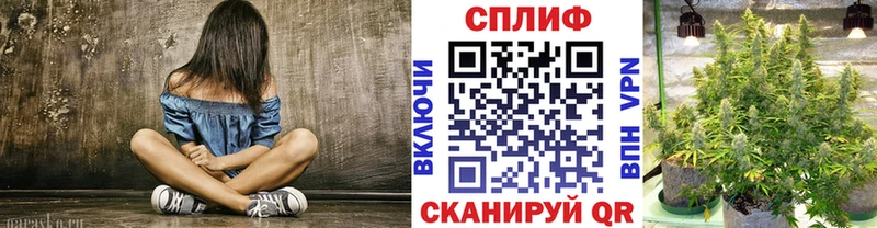 Конопля конопля  площадка состав  Гаджиево 